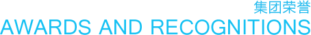 集团荣誉