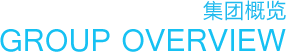 集团概览